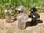 Smoky Quartz Mushroom - Polished Crystal Sculpture