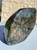 Labradorite (Grade A) Spectrolite Standing Specimen - Polished Stone - 107