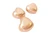 Copper Heart - Polished Stone