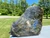 Labradorite (Grade A) Spectrolite Standing Specimen - Front Polished Stone - 27 