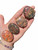 Leopardskin Jasper Palm Stone - Polished Stone Oval