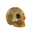 Crazy Lace Agate Skull - Polished Stone Sculpture