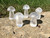 Clear Quartz Mushroom - Polished Crystal Sculpture