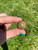 Unakite Sphere - Polished Stone