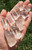 Raw Lemurian Quartz Crystal Point - Natural