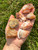 Raw Carnelian Agate Stone 