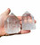 Clear Quartz Point Polished Crystal Tower