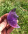 Amethyst Crescent Moon Polished Crystal
