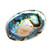 Abalone Shell 