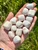 Open palm holding white Scolecite tumbled stones with fine parallel lines and cream-toned patches, natural variation