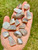 Silver Moonstone Tumbled Stone - Polished Moonstone Crystal