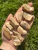 Picture Jasper Tumbled Stone 