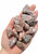 Leopardskin Jasper Tumbled Stone - Polished Leopardskin Jasper Crystal