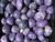 Lepidolite Tumbled Stone - Polished