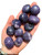 Lepidolite Tumbled Stone - Polished