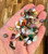 Mixed Gemstones Tumbled Stone - Polished Mixed Gemstones Crystal