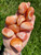 Banded Carnelian Tumbled Stone - Polished Carnelian Crystal