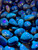 Indonesian Blue Amber Tumbled Stone (UV reactive - Blue Fluorescence) 