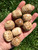 Brown Aragonite Tumbled Stone - Polished Aragonite Crystal