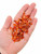 Carnelian Gem Bottle - Polished Chips of Carnelian Crystals