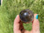 Smoky Quartz Sphere - Polished Crystal