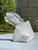 Raw Clear Quartz Cluster - Extra Quality - 38