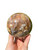 Petrified Wood Sphere - 5