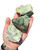 Raw Infinity Serpentine Stone