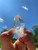 Raw Quartz Point Crystal - Extra Grade