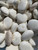 Pile of polished Scolecite palm stones from India in white and pale gray tones, showing natural variation