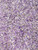 Amethyst Crystal Chips 2mm - 3mm sand size 1lb bag