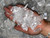 Raw Selenite Slivers and Chips (1 lb. Bag) 