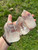 Raw Lemurian Quartz Crystal With Multiple Points Cluster