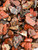 Raw Brecciated Jasper Stone