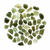 Raw Moldavite Crystal