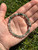 Garden Quartz Elastic Bracelet - (Lodolite Quartz, Micalated Quartz) - 6mm Beads 