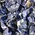 Raw Sodalite (Bulk) 
