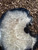 Agate Slab - Front Polished - No.18 