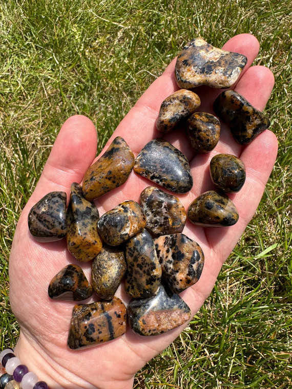 Cheetah Agate Tumbled Stone 