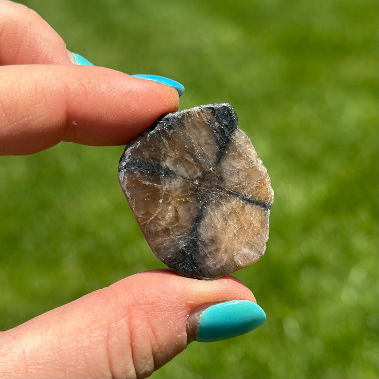 Chiastolite Slab 