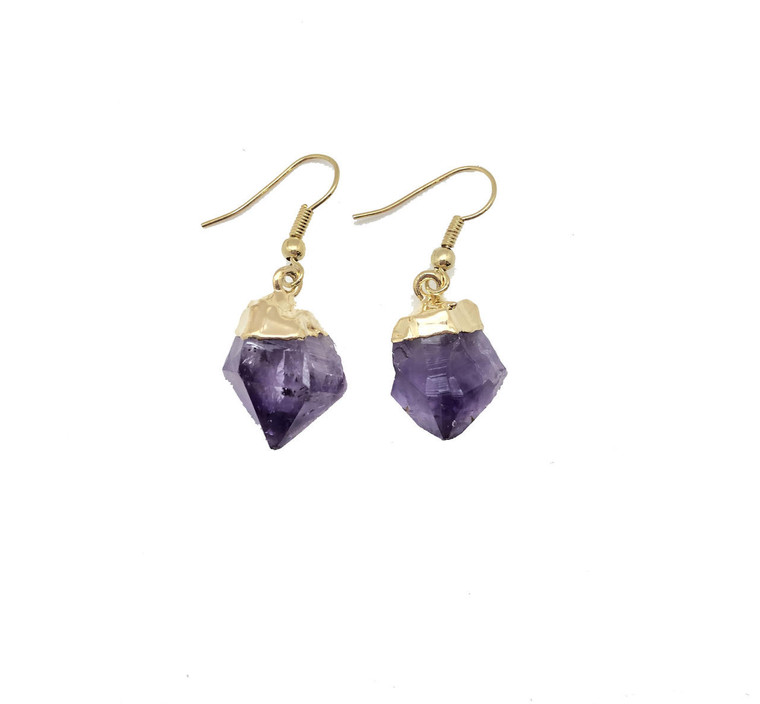 Amethyst Raw Point Dangle Earrings in Plated Setting