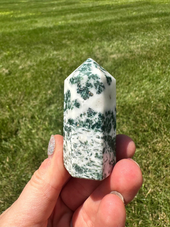 Tree Agate Point 