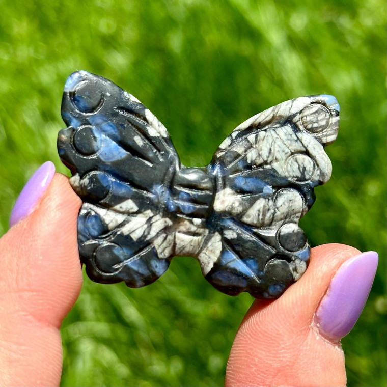 Que Sera Butterfly (Blue Liberite) 