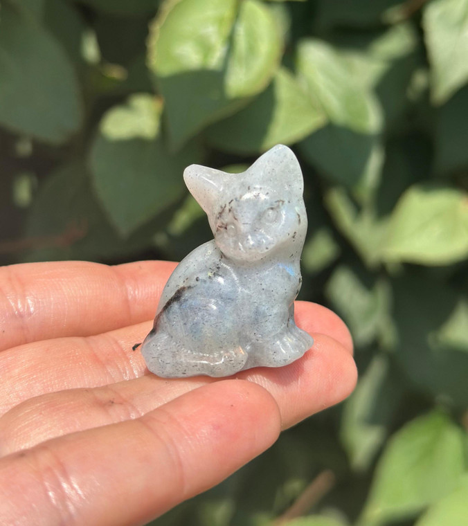 Polished Labradorite sitting cat carving from Madagascar held on fingertips, pale gray with pointed ears