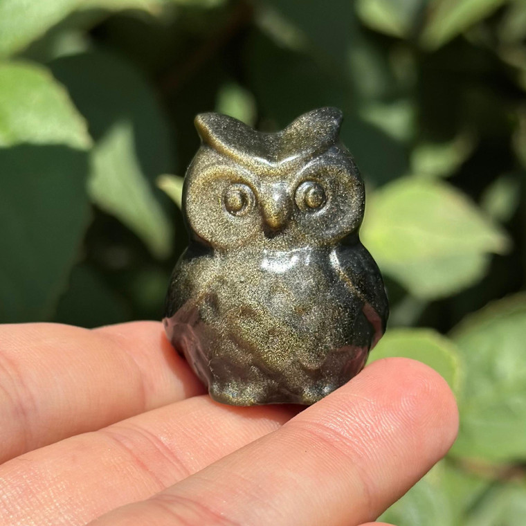 Polished Gold Sheen Obsidian owl carving from Mexico held in hand, showing golden shimmer across its carved feathers