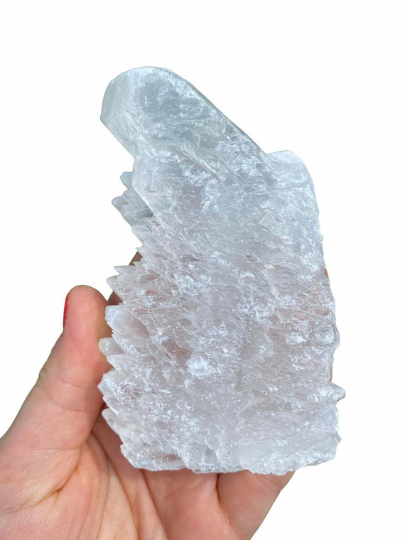 Raw Fishtail Fishtail Selenite Cluster