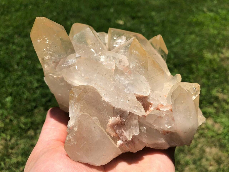 Raw Golden Healer Lemurian Quartz Crystal Cluster - 4