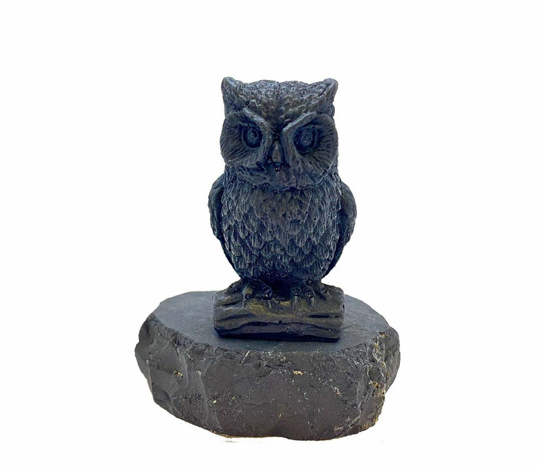 Shungite Owl - Polished Stone Sculpture - 1