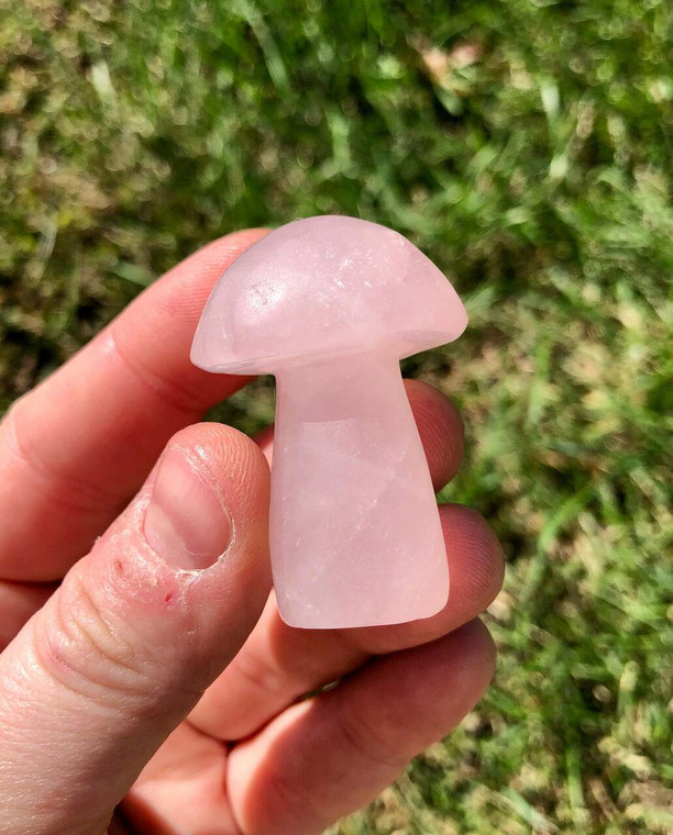 Rose Quartz Mushroom - Polished Crystal Sculpture