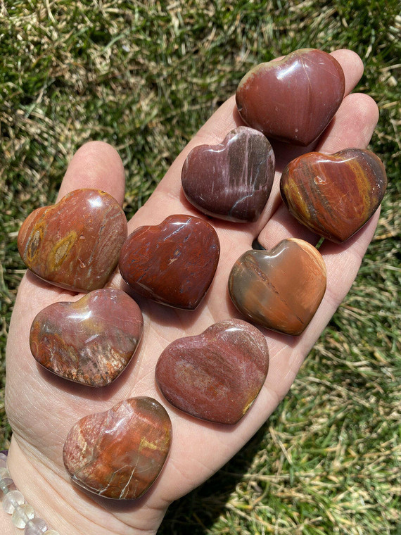Petrified Wood Heart - Polished Stone | New Moon Beginnings